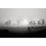 Hay Bales, Sussex, England (12"L x 18" W)