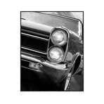 Gran Turismo Olmogato (25"L x 19.75"W)