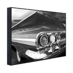 Chevy Tail (19.75"L x 25"W)