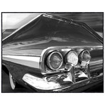 Chevy Tail (19.75"L x 25"W)