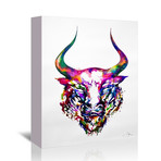 Philosopher (16"W x 20"H x 1.5"D)