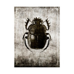 Macabre Collection // Beetle (Beetle A)