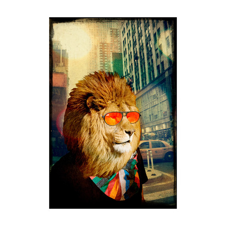 King Lion of the Urban Jungle