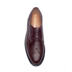 Connor Longwing (US: 8.5)