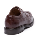 Connor Longwing (US: 8.5)