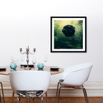 Blacks (16"L x 16"H)