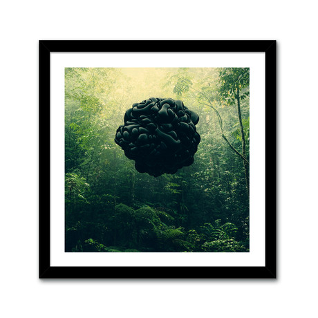 Blacks (16"L x 16"H)