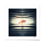 3f8401a3d56d588abedb0bd7681889a5 small