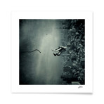 5449dcd4205279f77f5d1aca79f0d5fe small