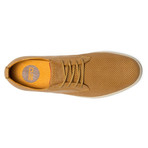 Clae // Ellington // Cork Suede  (US: 8)