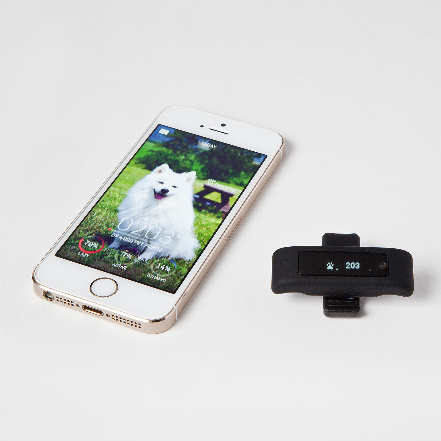 Tractive MOTION Pet Activity Monitor - Tractive MOTION - Touch of