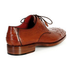 Paul Parkman // Genuine Ostrich Derby // Tobacco (Euro: 42)