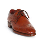 Paul Parkman // Genuine Ostrich Derby // Tobacco (Euro: 42)