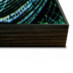 Cold Cash (30"L x 20"W x 2"H)