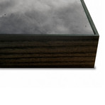 Who Will Survive (30"W x 20"H x 2"D)