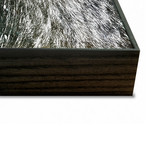 Bloodbeat I (30"L x 20"W x 2"H)