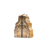 Fossilized Wood Bookends