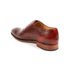 Medallion Perforated Oxford // Brown (US: 8)