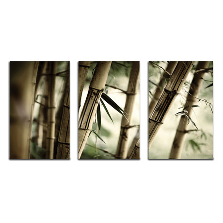 Bamboo Jungle (Print)