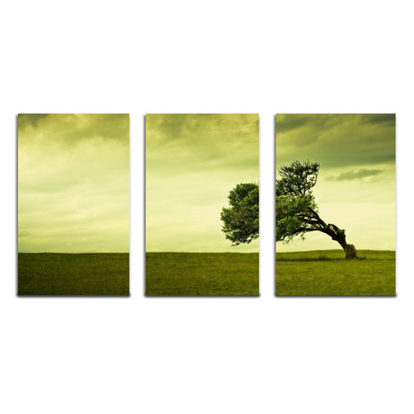 Green Tree (Print)