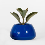 5c63f7777f7e7cf4593396feba4cb301 small