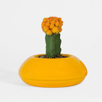 09928868e3c781ab5dc46ff639b8a20a small