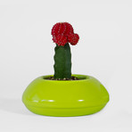 D8c50139e5d06fb1390457848f3f8ec7 small