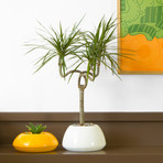 Droplet // Small (Black)