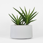 5a830c584da660baf887c3700a443a8e small