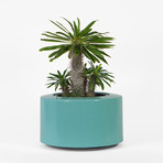 710cbad947982b650f1b39e0fe14d94e small