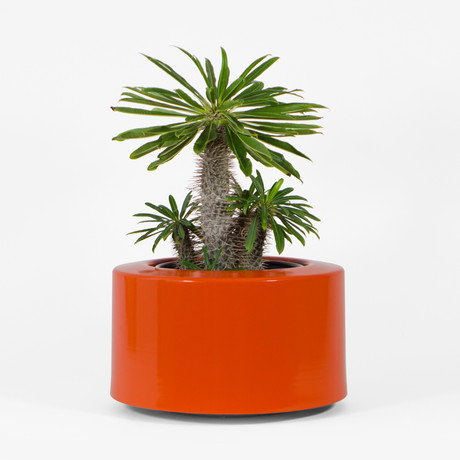 Ver. 1.0 // Full (Orange)