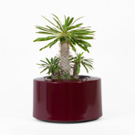 8202fdbf40887781f9a89a96189db103 small