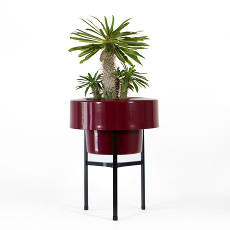 Ver. 1.0 // Half (Orange)