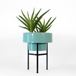 D0278837cdc0c48204e39d50ad695c2b small