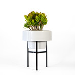 D94629d1a64ba3755d25e6734a8048f8 small