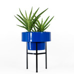 8ddc8194ff6c582273b1ba8bc9c0853f small