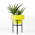 Ef945d7820da8cf66dc06ac8d9bba328 small