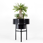 036720365d7347b4bbdca2a61bf948dc small