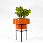 9fd001ce95d99c1ad86c407acd0db9b7 small