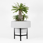 Ver. 1.0 Stand // Short (Black)