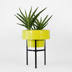 Ver. 1.0 Stand // Tall (Black)