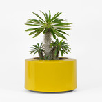 5e276ac618be097830aedbc8c63c0540 small