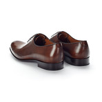 The Martin Oxford // Marrone (US: 7)