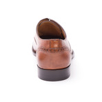 The Brando Semi-Brogue Oxford // Cognac (US: 6)