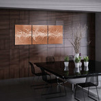 Electric Fields v2 Copper (19"L x 48"W Single Panel Metal Print)