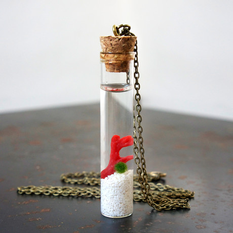 Live Marimo Moss Ball Vial Necklace