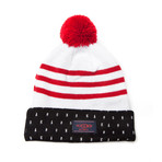 Mixed Stripe Beanie