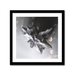 Crystallized Asteroids // 04 (16"L x 16"H Print)