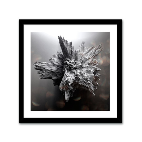 Crystallized Asteroids // 03 (16"L x 16"H Print)