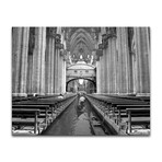 O Duomo Mio (16"L x 20"H)